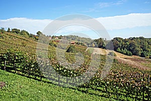 Croatian Zagorje,Hrvatsko Zagorje,by autumn,3