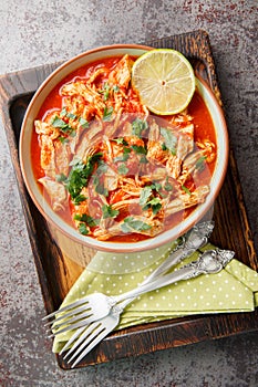 Crock Pot Salsa Chicken with taco seasoned pulled chicken breasts and tomato salsa close-up in a bowl. Vertical top view