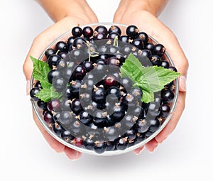 Crockery with black currant.