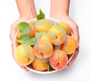 Crockery with mellow apricots. photo