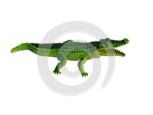 Crocodile