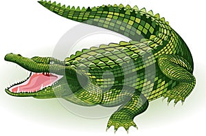 Crocodile photo