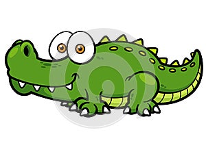 Crocodile