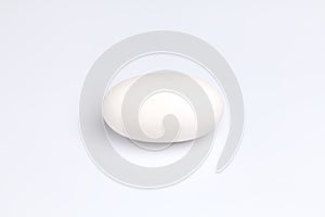 Crocodile alligator egg one white background