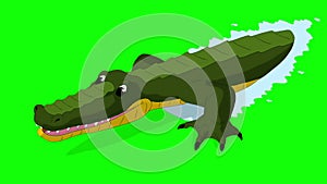 Crocodile Attacks Front View Chroma