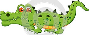 Crocodile Cartoon