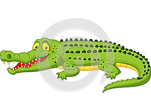Crocodile cartoon