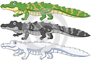 Crocodile collection set on white background
