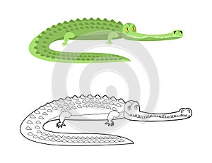 Crocodile Coloring book. Good caiman. Wild animal. Green reptile