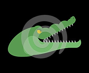 Crocodile head. Alligator muzzle isolated. Predator animal. Vector illustration