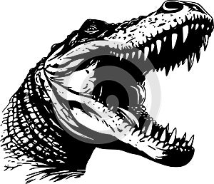 Crocodile - high quality vector logo - vector illustration ideal for t-shirt graphic