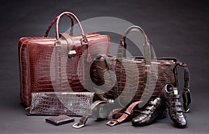 Crocodile leather fashion products