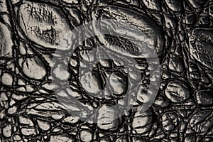 Crocodile leather texture