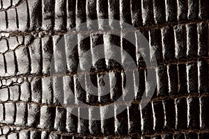 Crocodile leather texture