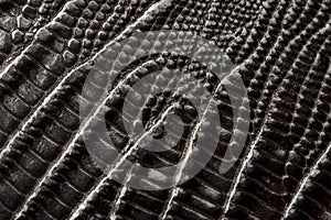 Crocodile leather texture