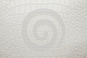 Crocodile leather white artificial texture
