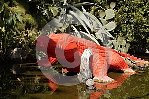 Crocodile red