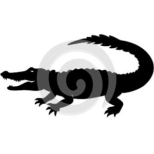Crocodile Silhouette Vector Illustration Wildlife Reptile Design Graphic Art photo