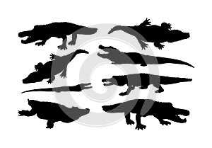 Crocodile  silhouette on the white background. Alligator silhouette. Cayman silhouette. Alligator silhouette. Hungry beast.