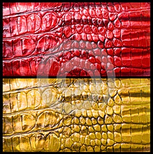 Crocodile skin