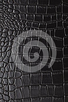 Crocodile skin