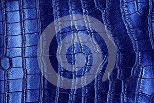 Crocodile skin blue color leather texture background