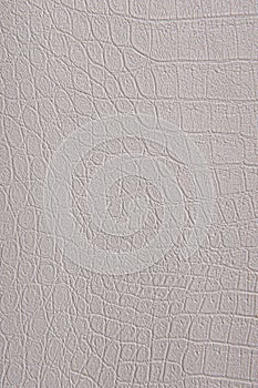 Crocodile skin leather, white background