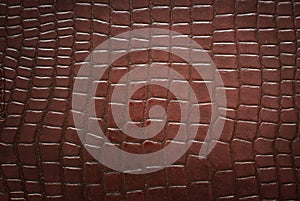 Crocodile skin pattern