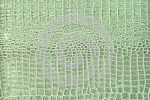 Crocodile skin pattern