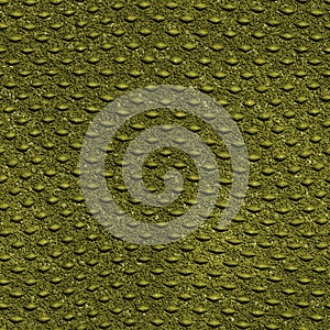Crocodile skin texture