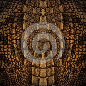 Crocodile skin texture