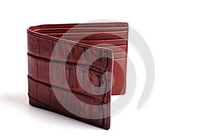 Crocodile skin wallet