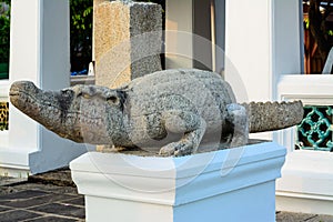 Crocodile statue.