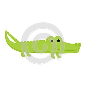 Crocodile vector cartoon crocodilian character of green alligator playing in kids playroom illustration animalistic