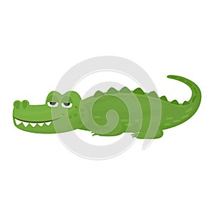 Crocodile vector cartoon crocodilian character of green alligator playing in kids playroom illustration animalistic