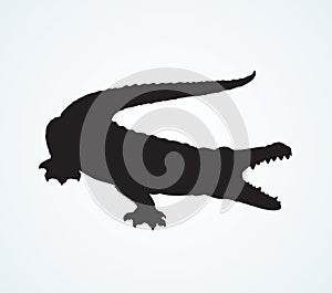 Crocodile. Vector drawing