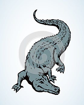 Crocodile. Vector drawing animal icon