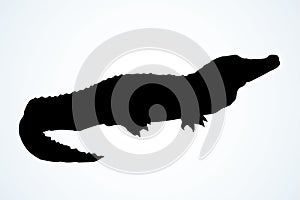 Crocodile. Vector drawing icon sign