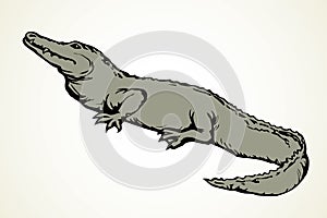 Crocodile. Vector drawing icon sign