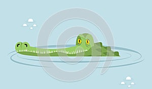Crocodile in water. large alligator in swamp.