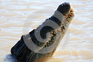 Crocodille River Kakadu National Park, Australia