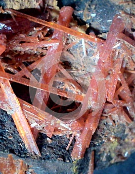 Crocoite crystals on matrix from Tasmania