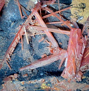 Crocoite crystals on matrix from Tasmania