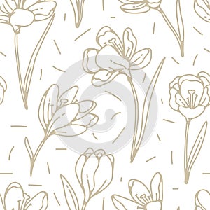 Crocus flower golden seamless pattern spring primroses outline sketch on white background.