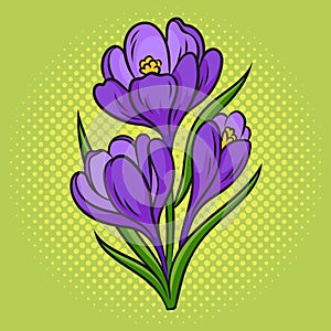 Crocus flower pop art raster illustration