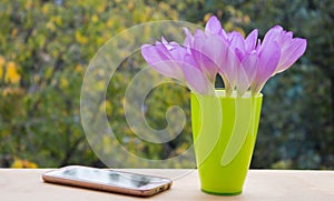 Crocus flowers bouquet in a glass vase with smartphone on the background of nature