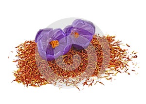 Crocus flowers and dried saffron spice isolated on white background