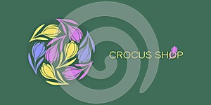 Crocus. Poster. Saffron flowers. Logo, emblem. Crocus shop. Spring flowers on a green background