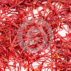 Crocus saffron threads close up