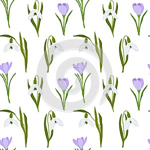 Crocus and snowdrop flowers seamless pattern.